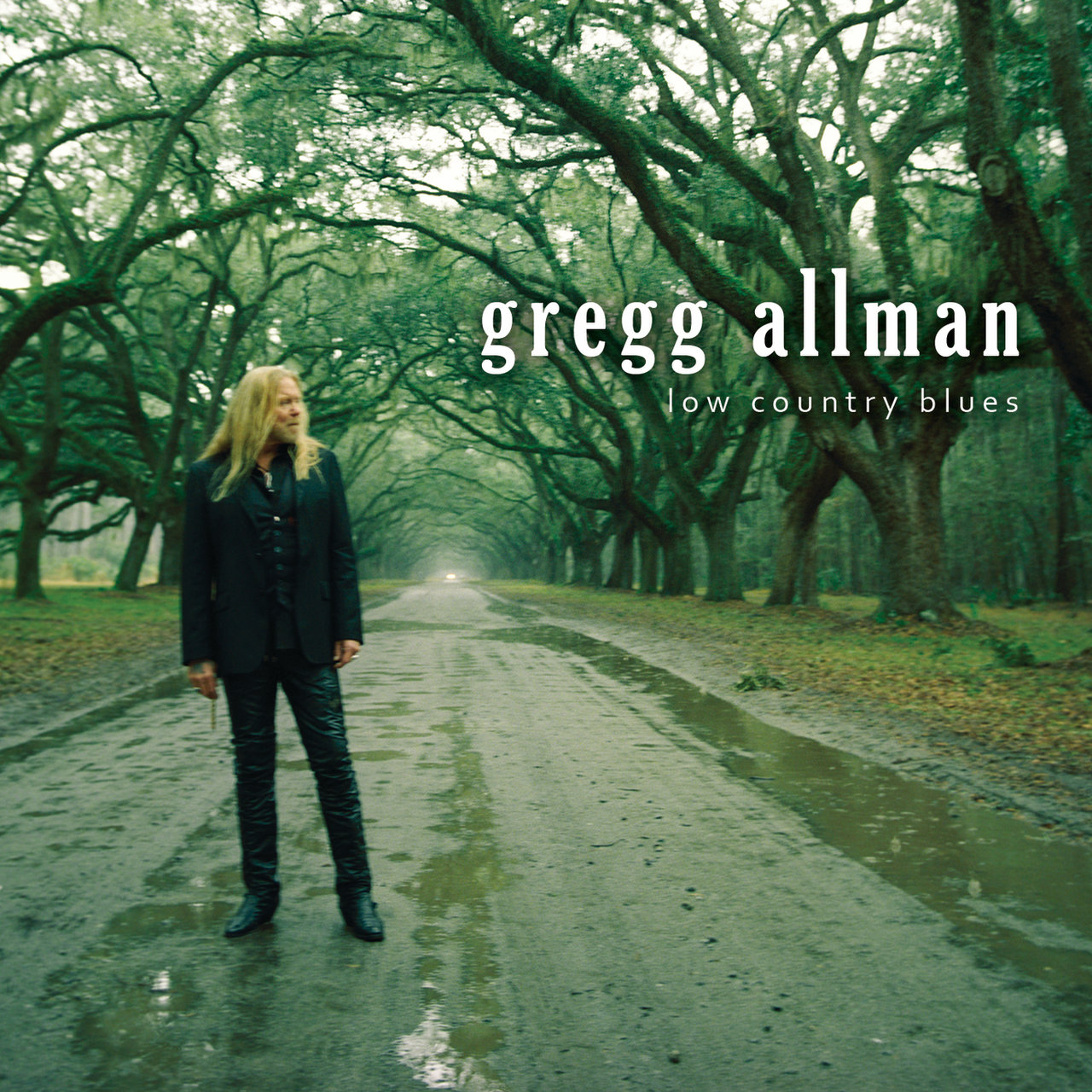 3682.-Gregg-Allman-Low-Country-Blues.jpg